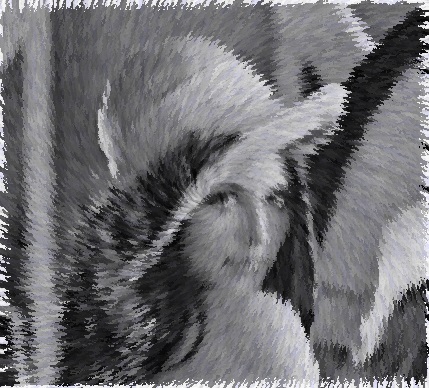 Figure X.12a